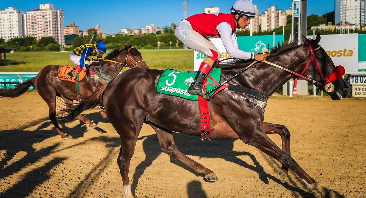 Nargis estreia na distância em busca da Tríplice Coroa. (Foto: Jefferson Bernardes/Agência Preview) 