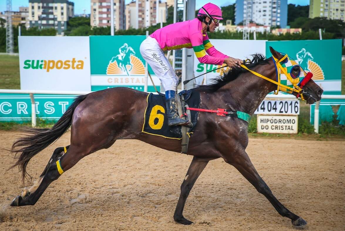 Primeira vitória de Acedenir Gulart no Cristal foi com Bitrem. (Foto: Jefferson Bernardes/Agência Preview) 