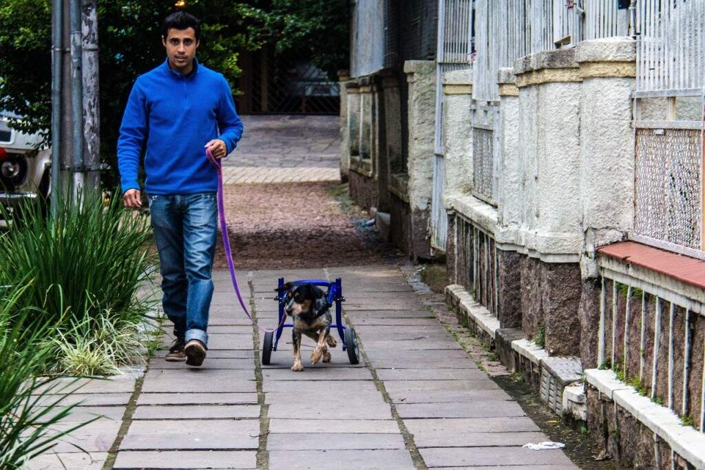 Mário Nardi e o cão Alfred caminham lado a lado na calçada. (Foto: Jackson Ciceri/especial)