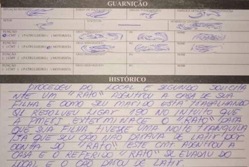 "Invasão de rato" é relatada em boletim de ocorrência (Foto: Divulgação )