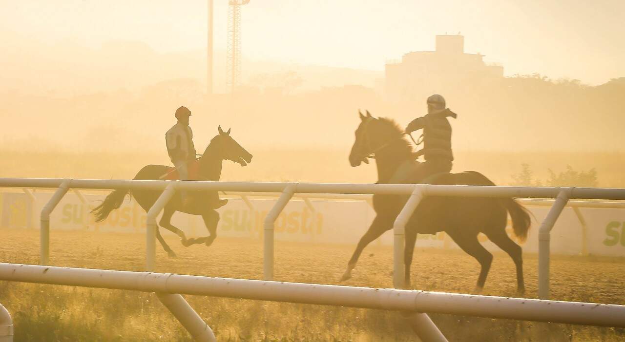 Entrada no Jockey Club do RS será gratuita neste feriado. (Foto: Jefferson Bernardes/Agência Preview) 