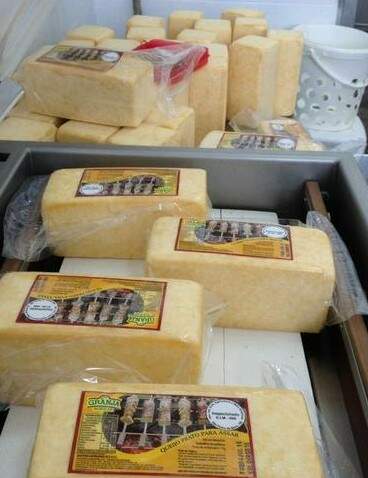 Queijo impróprio para o consumo. (Foto: MP/Divulgação)