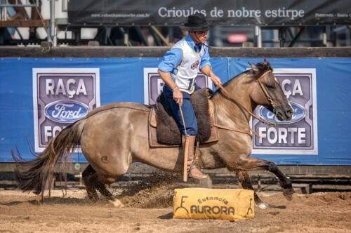 Farrera de Los Campos