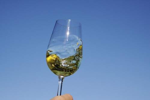 Vineria