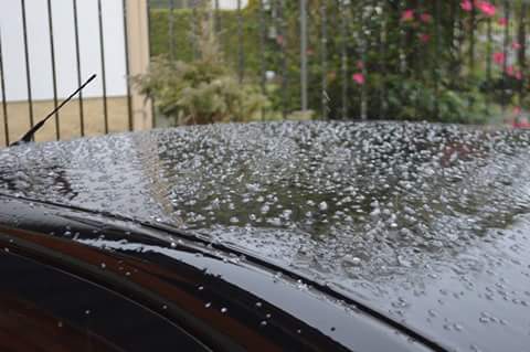 Chuva congelada caiu por volta do meio-dia em São Francisco de Paula. (Foto: Bolívar Medeiros/ Prefeitura São Francisco de Paula )