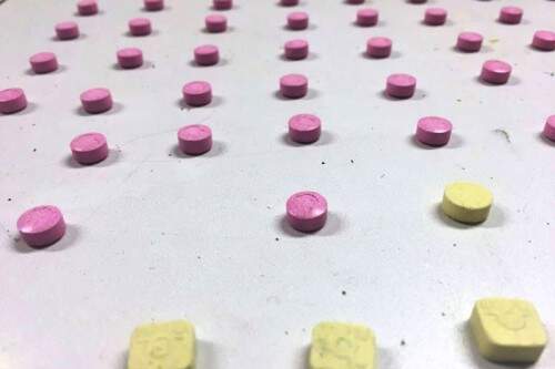 (Foto: Polícia Civil/Divulgação)