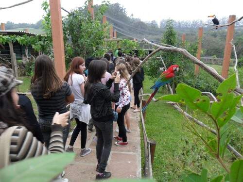 viveiro-de-imersao-6