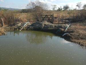 Água utilizada na irrigação era retirada de uma barragem. (Foto: Divulgação/Polícia Federal)