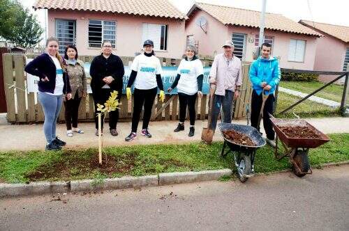 Arborização de bairro em Alegrete.