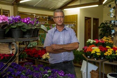 Walter Winge: atividade intensa na Floricultura Winge, que soma 130 anos de tradição. (Foto: Pedr Antônio Heinrich/ Especial)