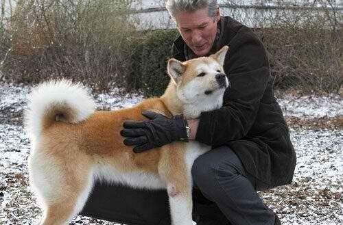 Richard Gere e o cão no papel de Hachiko. (Foto: Divulgação)