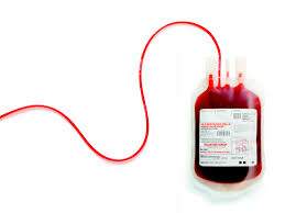 Doação de sangue (foto: reprodução)