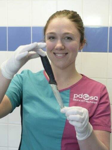 A veterinária Emily Ronald mostra a faca retirada do corpo de Macie (Foto: Sandy Young/PDSA )