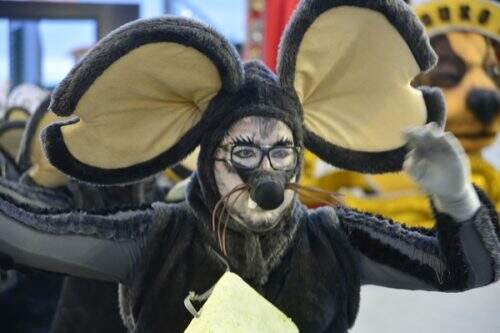 Ratos, que são usados em experiências de laboratório, foram lembrados no desfile (foto: reprodução)