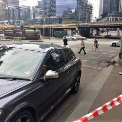 Toni O'Sullivan levou um susto depois que uma cobra surgiu no para-brisa de seu carro em Melbourne (Foto: Reprodução)