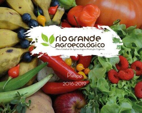 Rio Grande do Sul é o primeiro Estado a contar com Plano Estadual de Agroecologia e Produção Orgânica (Foto: Divulgação)