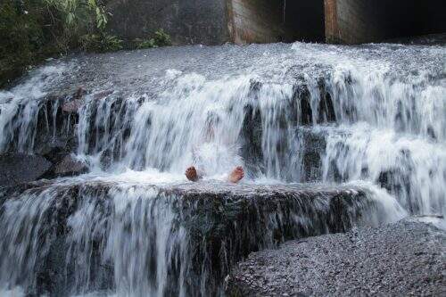 (Foto: Mostra "Ore Reko Regua")