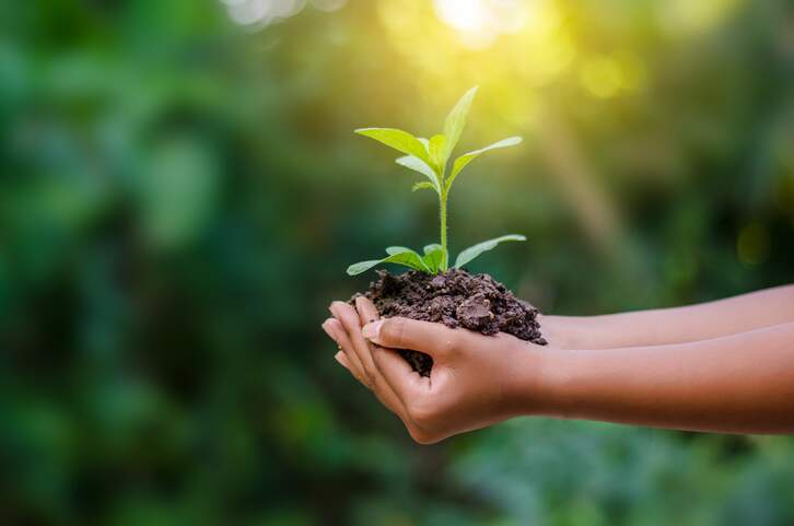 Sustentabilidade na Construção como Caminho de Atualização e Oportunidade