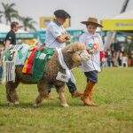 Desfile dos Grandes Campeões será na sexta-feira (5), às 10h, na Pista Central