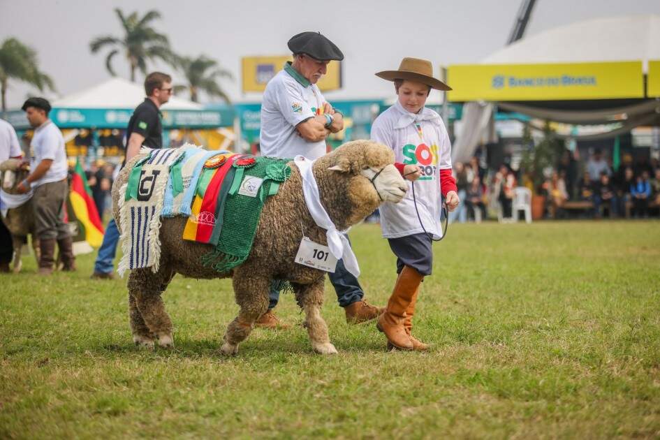 Desfile dos Grandes Campeões será na sexta-feira (5), às 10h, na Pista Central