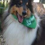 Imagem do WhatsApp de 2025-10-28 à(s) 09.21.01_dd3bcec2