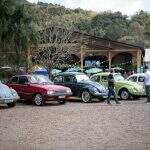carros (1)