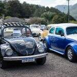 carros (7)