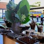 ©2025 VINIDALLAROSA-0573