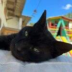 0f0883c3-0ef9-4ba6-aa82-77a38ff2001a