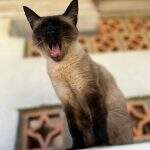 1662e198-6690-4cd9-af75-b4f1454a824a