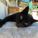 52474cad-754d-4a2a-9b73-5f77a44040e5