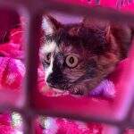 551e03fb-3ab5-4b38-afc5-2ba9d922ec5f