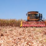 23161225_2245256_GDO