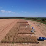 23163323_2245340_GDO