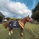 IMG_20260113_130846