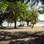 WhatsApp Image 2026-01-22 at 13.25.08