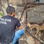 28143030_2246030_GDO