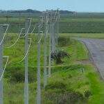Palmares do Sul 2 (1)