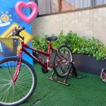 WhatsApp Image 2026-02-21 at 16.34.51