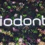 unopdonto (15)