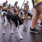 22162427_2262805_GDO