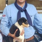 IMG_20260227_112334097.jpg (1)