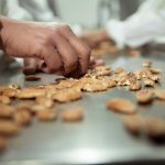 WhatsApp Image 2026-03-10 at 14.41.52