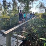 WhatsApp Image 2026-03-28 at 19.04.38 (2)