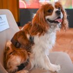 55209625193_07872db130_k