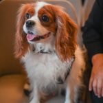 55209867800_1aacd80f6a_k