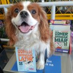 WhatsApp Image 2026-04-06 at 14.51.40