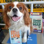 WhatsApp Image 2026-04-06 at 14.51.41