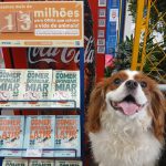 WhatsApp Image 2026-04-06 at 14.51.42 (1)