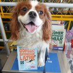 WhatsApp Image 2026-04-06 at 14.51.42